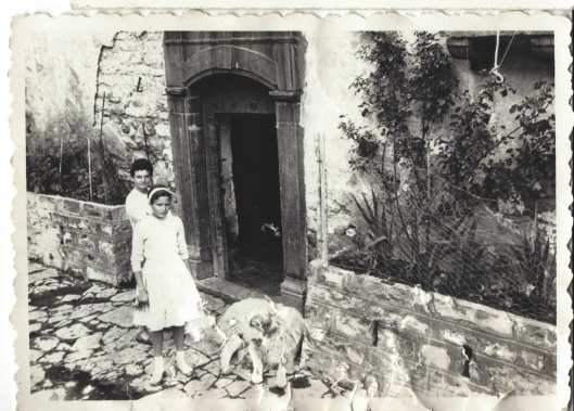 Madre, chico y perro